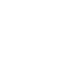 Play AVIATOR at Playamo